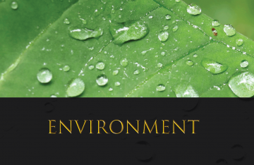 Environment